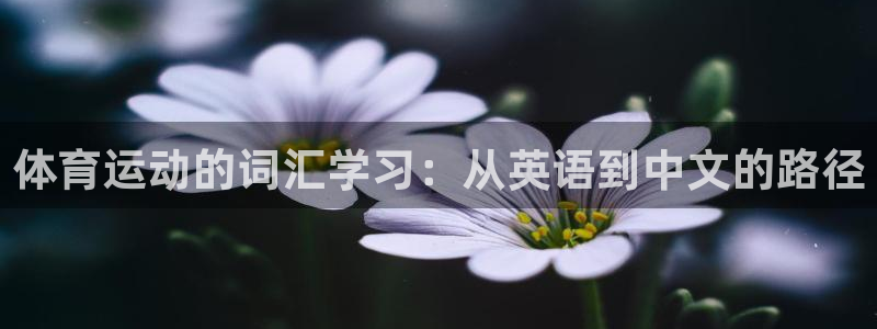 东莞市意昂2电子科技有限公司：体育运动的词汇学习：从英语到中文的路径