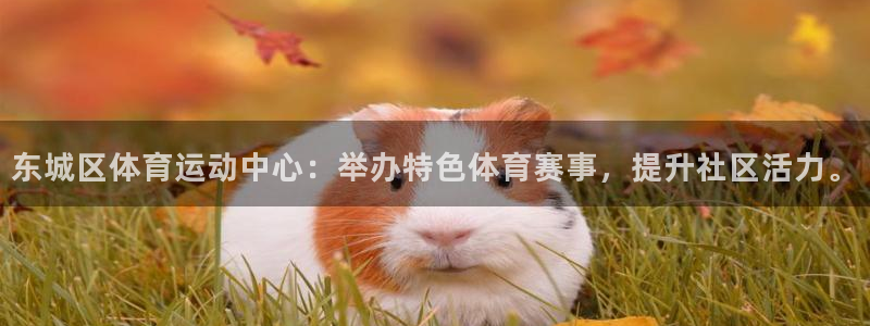意昂2体育4