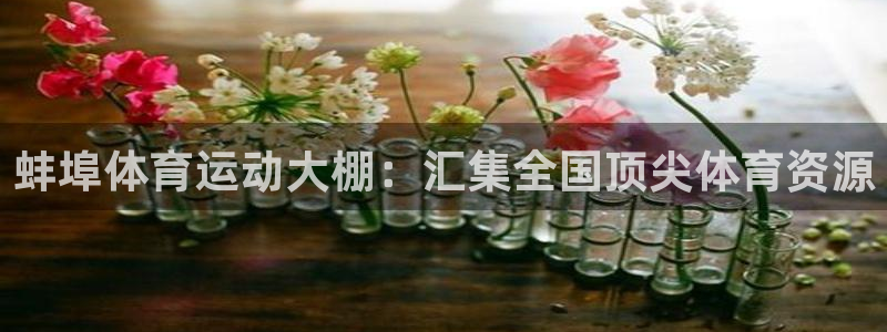 意昂4平台：蚌埠体育运动大棚：汇集全国顶尖体育资源