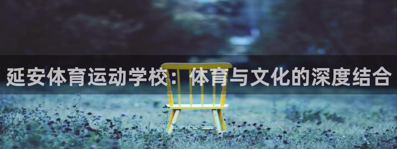 意昂2登录入口：延安体育运动学校：体育与文化的深度结合