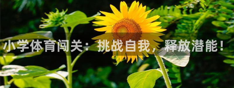 意昂22登录：小学体育闯关：挑战自我，释放潜能！