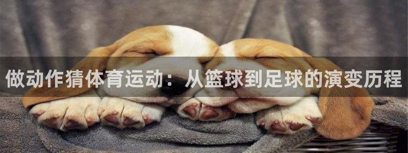 东莞市意昂2电子科技有限公司：做动作猜体育运动：从篮球到足球的演变历程