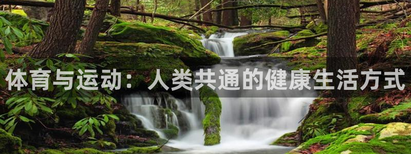 意昂4：体育与运动：人类共通的健康生活方式