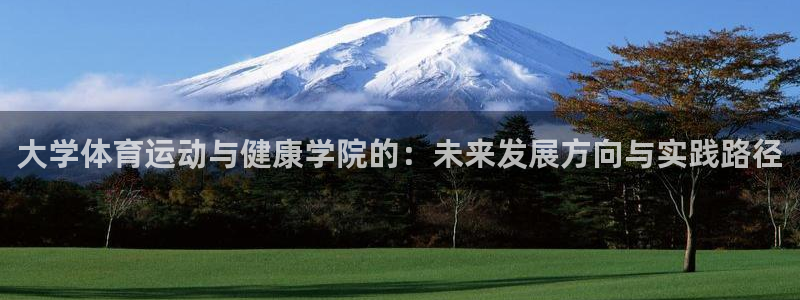 意昂2包怎么样：大学体育运动与健康学院的：未来发展方向与实践路径