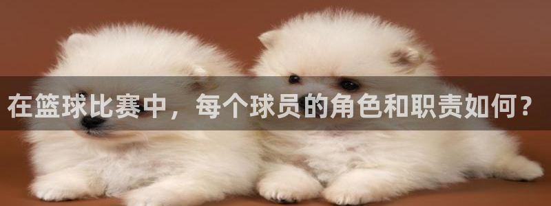 意昂2能源：在篮球比赛中，每个球员的角色和职责如何？