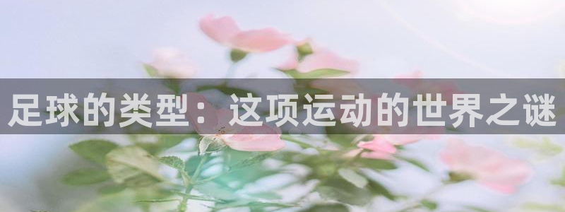 意昂22平台：足球的类型：这项运动的世界之谜