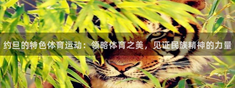 意昂扬是什么意思：约旦的特色体育运动：领略体育之美，见证民族精神的力量