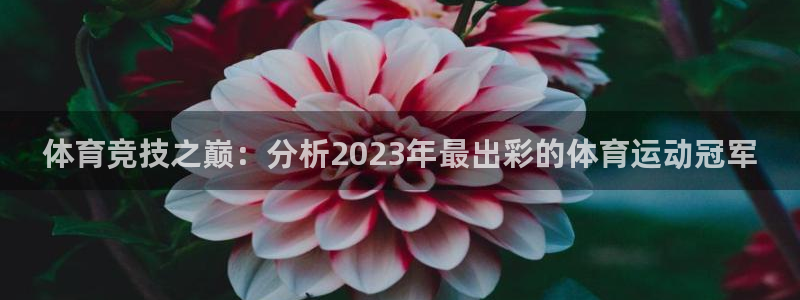 意昂22登录地址：体育竞技之巅：分析2023年最出彩的体育运动冠军