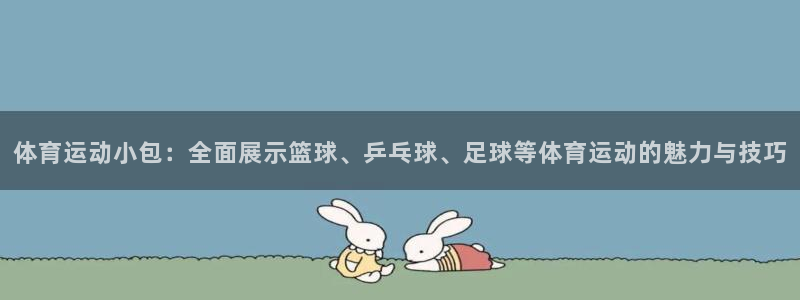 意昂23：体育运动小包：全面展示篮球、乒乓球、足球等体育运动的魅力与技巧