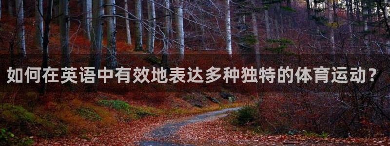 意昂2平台：如何在英语中有效地表达多种独特的体育运动？