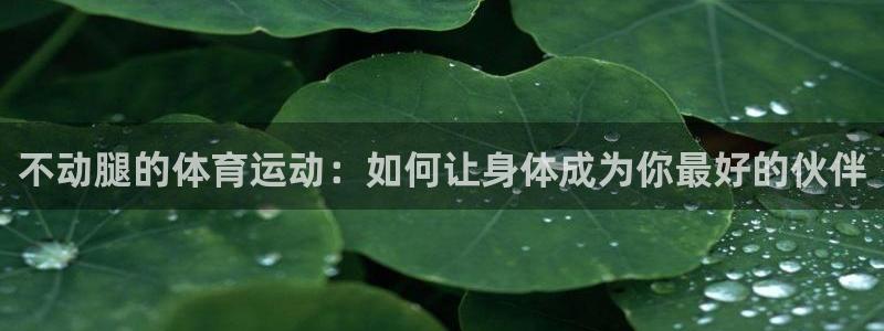 意昂新能源汽车科技有限公司：不动腿的体育运动：如何让身体成为你最好的伙伴