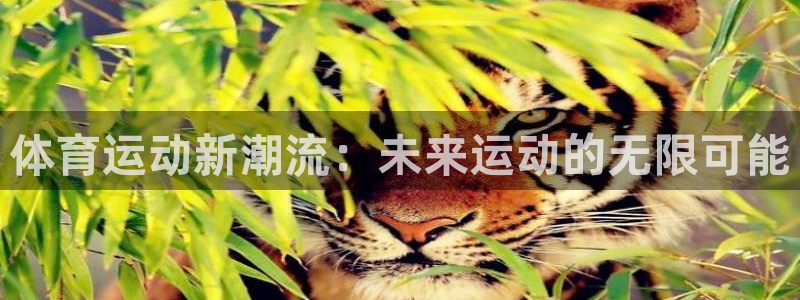 意昂2凯捷平台：体育运动新潮流：未来运动的无限可能