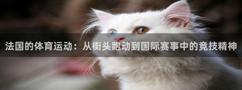 意昂工课：法国的体育运动：从街头跑动到国际赛事中的竞技精神