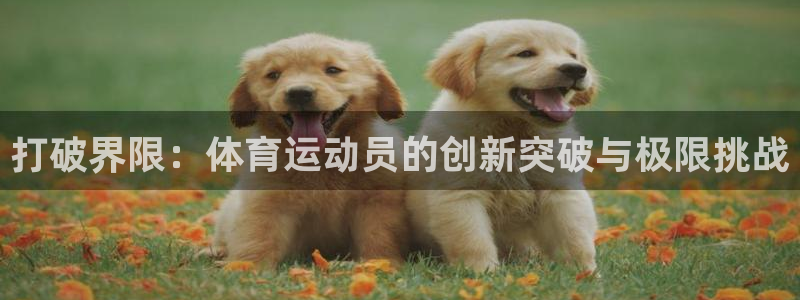 意昂2登录：打破界限：体育运动员的创新突破与极限挑战