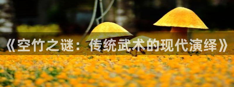 意昂22登录入口：《空竹之谜：传统武术的现代演绎》