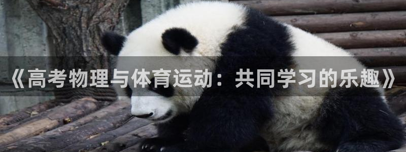 意昂2体育：《高考物理与体育运动：共同学习的乐趣》