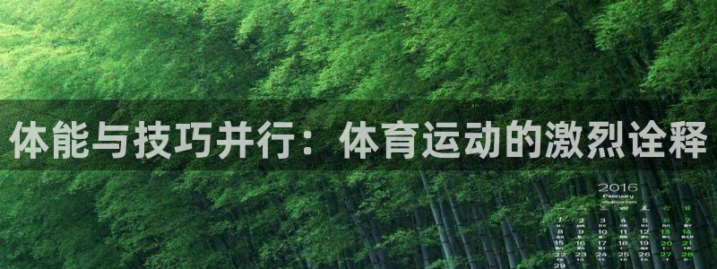 意昂2体育凯捷平台主管：体能与技巧并行：体育运动的激烈诠释