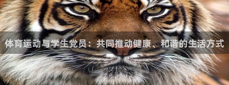 意昂2f凯捷注册：体育运动与学生党员：共同推动健康、和谐的生活方式