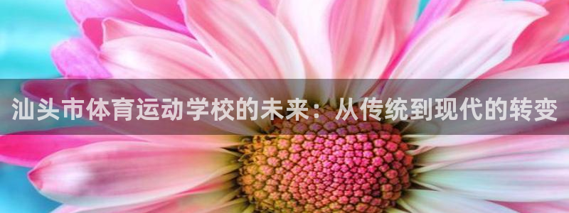 www.意昂体育.com：汕头市体育运动学校的未来：从传统到现代的转变