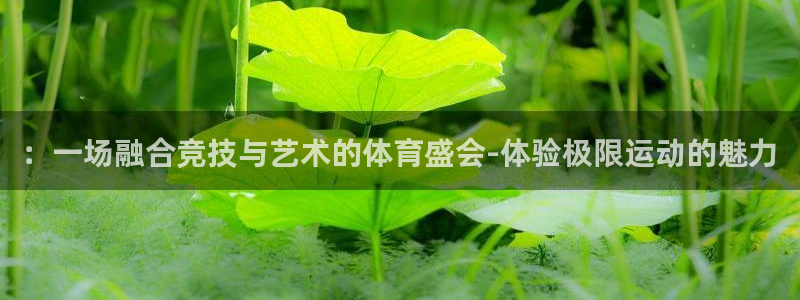 意昂注册：：一场融合竞技与艺术的体育盛会-体验极限运动的魅力